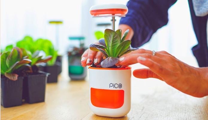 PICO | CIAOMARKETS