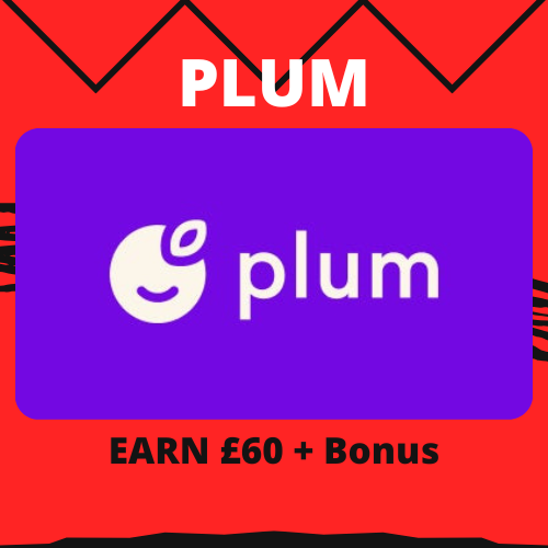 PLUM | CIAOMARKETS